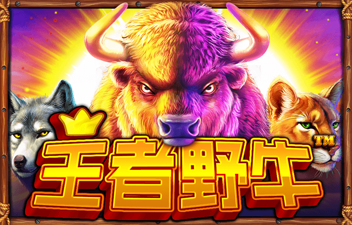 355娱乐彩票app安卓版使用方法